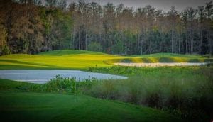 quail golfing reside