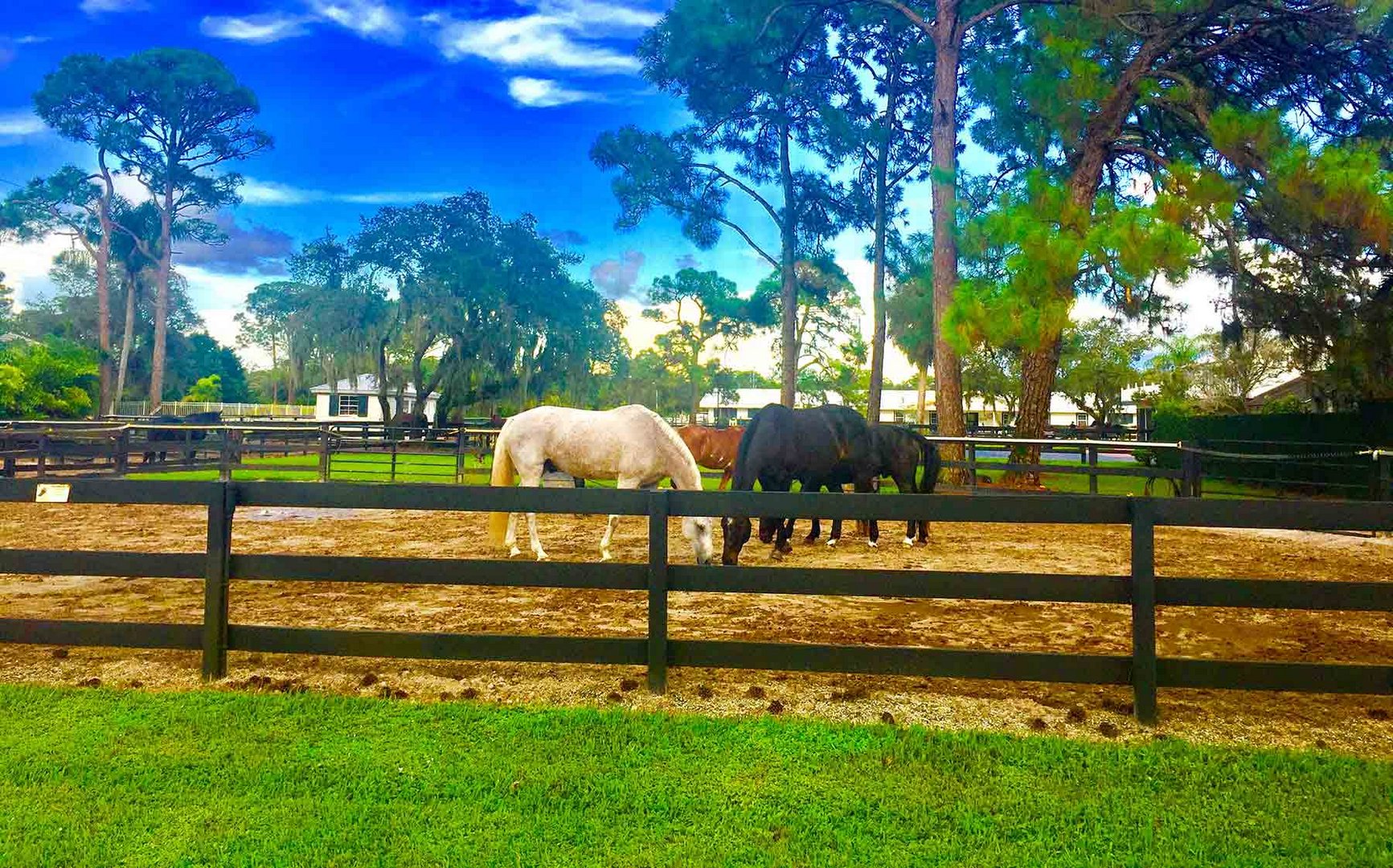 Pine Ridge Naples FL Real Estate Shannon Lefevre