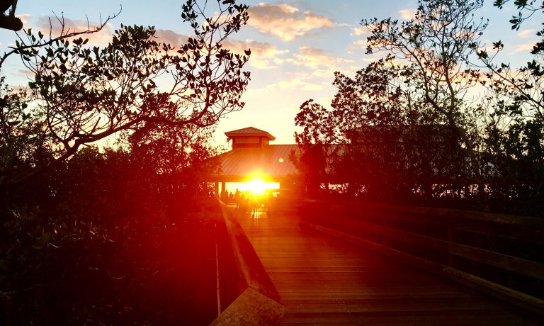 Pelican Bay Market Update